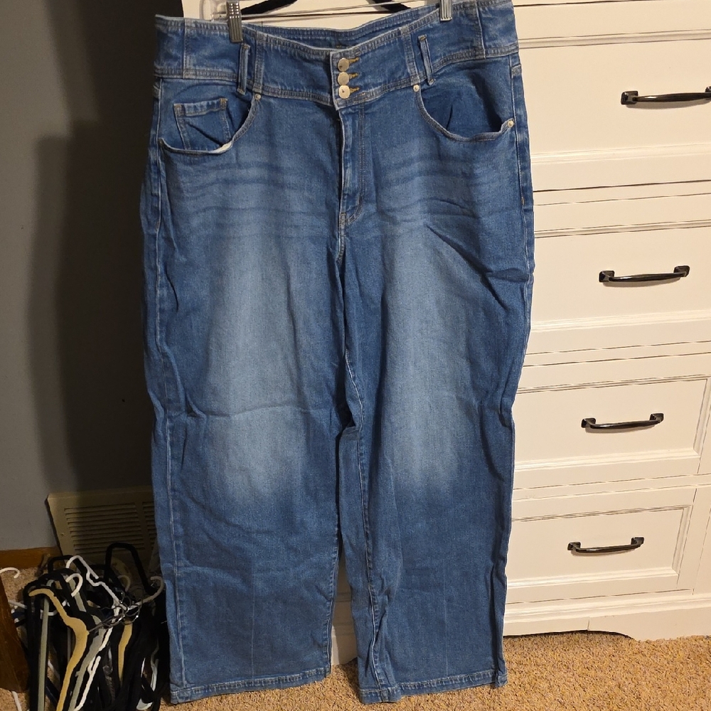 Lane Bryant Women's Classic Blue Straight Leg Jeans